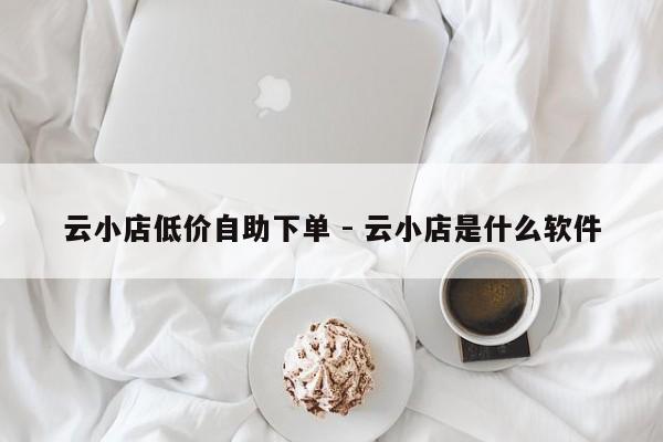 云小店低价自助下单 - 云小店是什么软件