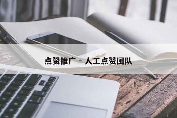 点赞推广 - 人工点赞团队