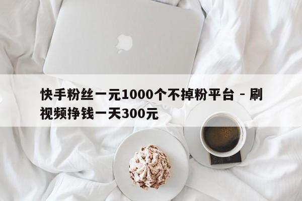 快手粉丝一元1000个不掉粉平台 - 刷视频挣钱一天300元