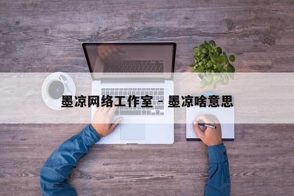 墨凉网络工作室 - 墨凉啥意思