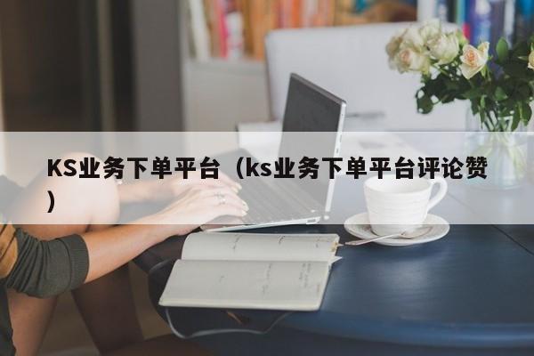 KS业务下单平台（ks业务下单平台评论赞）