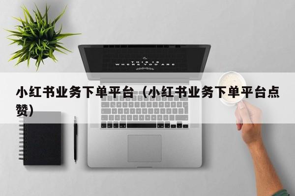 小红书业务下单平台（小红书业务下单平台点赞）