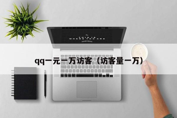 qq一元一万访客（访客量一万）