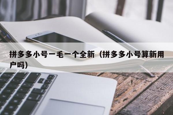 拼多多小号一毛一个全新（拼多多小号算新用户吗）