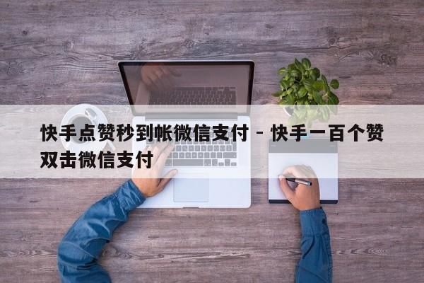 快手点赞秒到帐微信支付 - 快手一百个赞双击微信支付