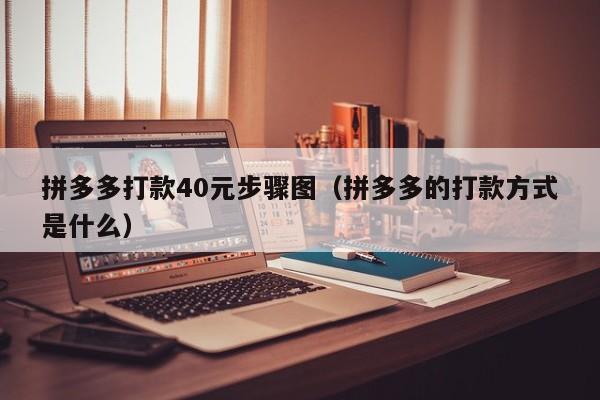 拼多多打款40元步骤图（拼多多的打款方式是什么）