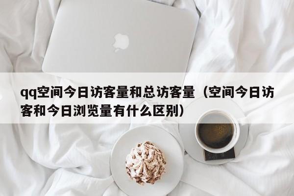 qq空间今日访客量和总访客量（空间今日访客和今日浏览量有什么区别）
