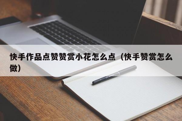 快手作品点赞赞赏小花怎么点（快手赞赏怎么做）
