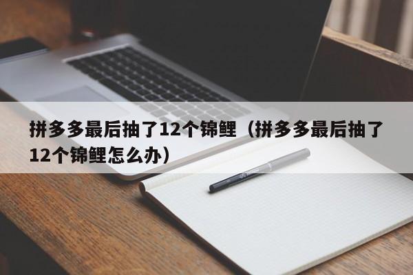 拼多多最后抽了12个锦鲤（拼多多最后抽了12个锦鲤怎么办）