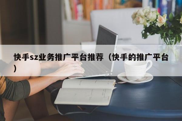快手sz业务推广平台推荐（快手的推广平台）