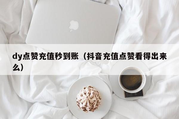 dy点赞充值秒到账（抖音充值点赞看得出来么）