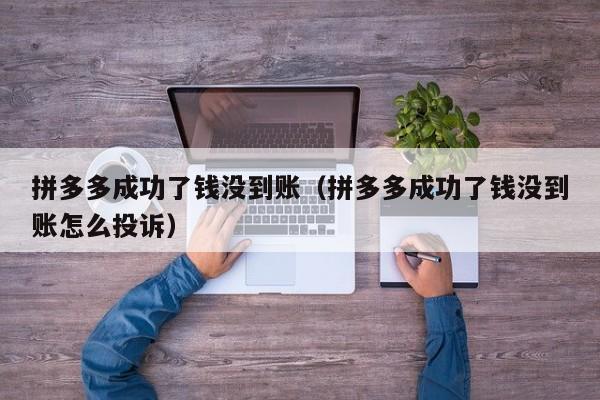 拼多多成功了钱没到账（拼多多成功了钱没到账怎么投诉）