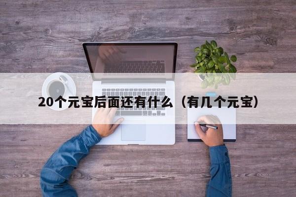 20个元宝后面还有什么（有几个元宝）