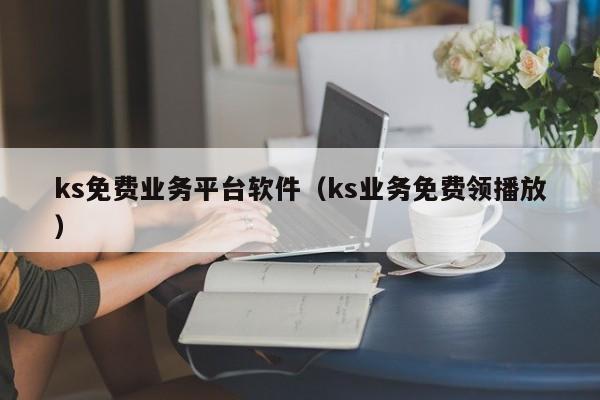 ks免费业务平台软件（ks业务免费领播放）