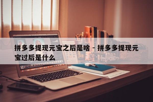 拼多多提现元宝之后是啥 - 拼多多提现元宝过后是什么