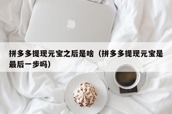 拼多多提现元宝之后是啥（拼多多提现元宝是最后一步吗）