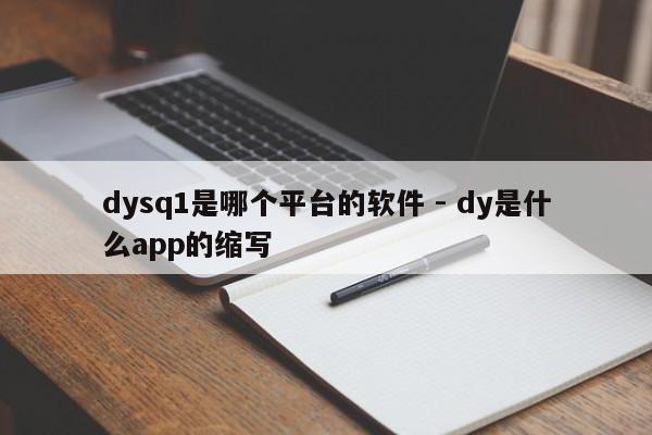 dysq1是哪个平台的软件 - dy是什么app的缩写
