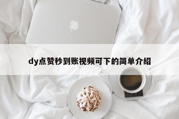 dy点赞秒到账视频可下的简单介绍