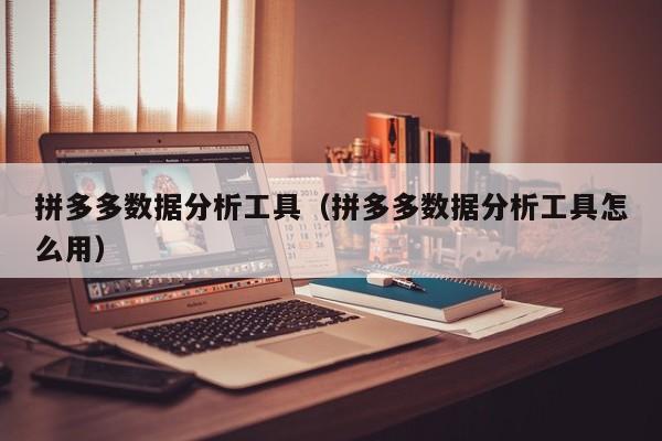 拼多多数据分析工具（拼多多数据分析工具怎么用）