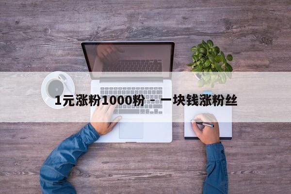 1元涨粉1000粉 - 一块钱涨粉丝