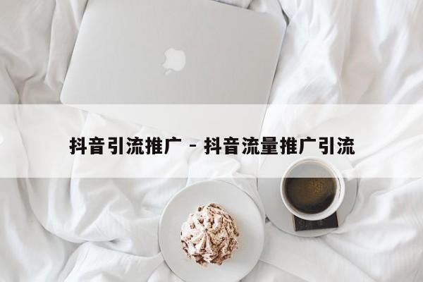 抖音引流推广 - 抖音流量推广引流