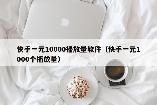 快手一元10000播放量软件（快手一元1000个播放量）