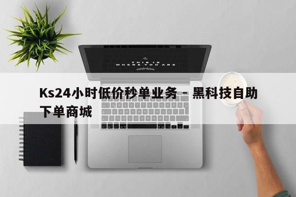 Ks24小时低价秒单业务 - 黑科技自助下单商城