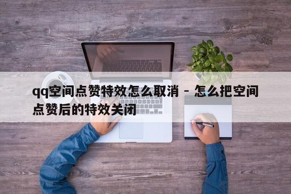 qq空间点赞特效怎么取消 - 怎么把空间点赞后的特效关闭