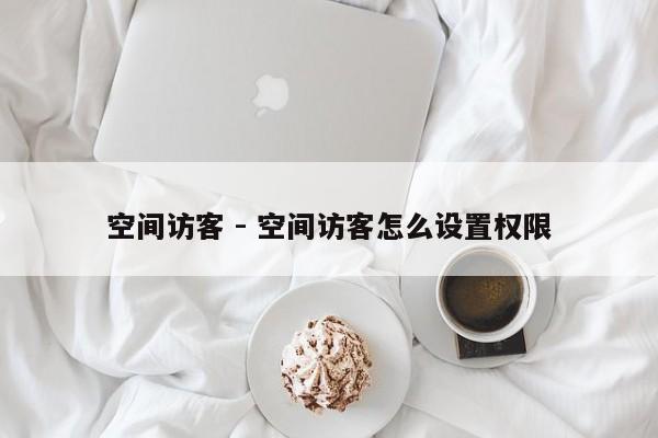 空间访客 - 空间访客怎么设置权限